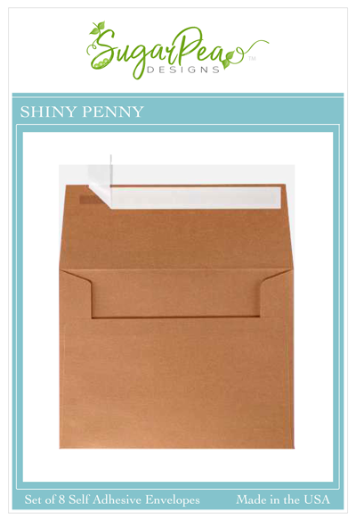 Shiny Penny Envelopes