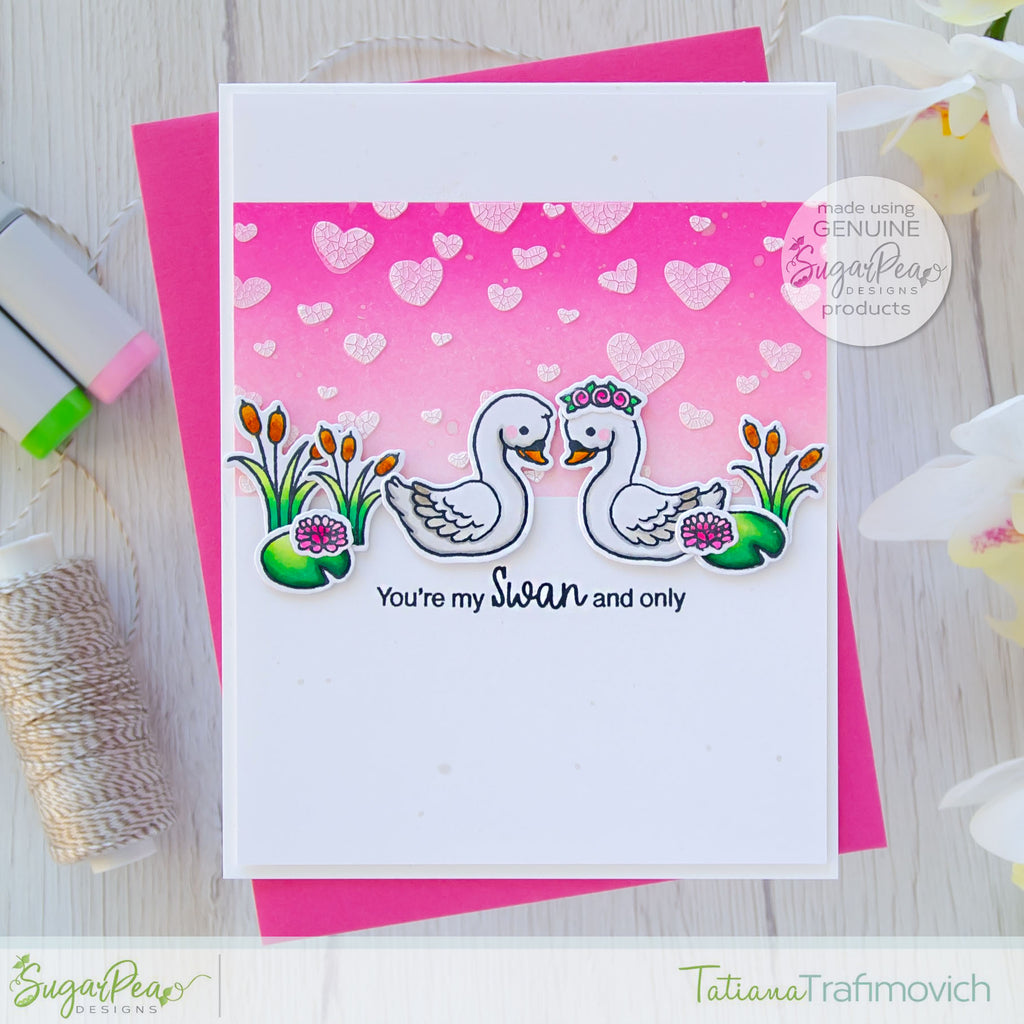 Sweet Swans